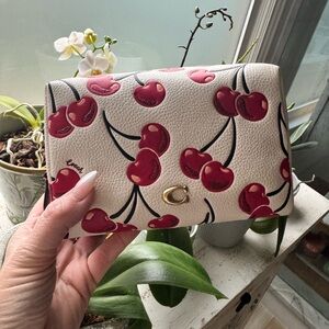 Coach Essential Cosmetic Pouch With Cherry Print